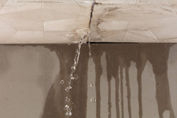 Professional Flood Damage Cleanup technician working in Maribel, WI